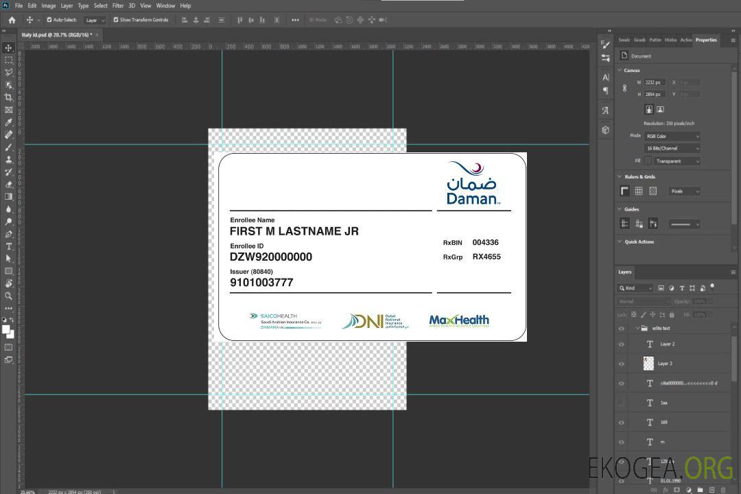 Carte d'assurance maladie des Émirats arabes unis template